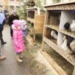 24.12.2016 Kielce. Żywa szopka przy parafii św. Franciszka z Asyżu. / Jarosław Kubalski / Radio Kielce