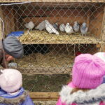 24.12.2016 Kielce. Żywa szopka przy parafii św. Franciszka z Asyżu. / Jarosław Kubalski / Radio Kielce