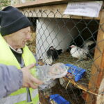 25.12.2016 Kielce. Żywa szopka przy parafii św. Franciszka. / Jarosław Kubalski / Radio Kielce