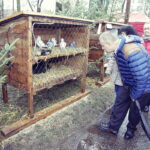 25.12.2016 Kielce. Żywa szopka przy parafii św. Franciszka. / Jarosław Kubalski / Radio Kielce