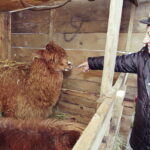 25.12.2016 Kielce. Żywa szopka przy parafii św. Franciszka. / Jarosław Kubalski / Radio Kielce