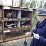 25.12.2016 Kielce. Żywa szopka przy parafii św. Franciszka. / Jarosław Kubalski / Radio Kielce