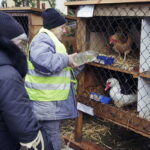 25.12.2016 Kielce. Żywa szopka przy parafii św. Franciszka. / Jarosław Kubalski / Radio Kielce