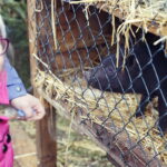 25.12.2016 Kielce. Żywa szopka przy parafii św. Franciszka. / Jarosław Kubalski / Radio Kielce