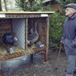 25.12.2016 Kielce. Żywa szopka przy parafii św. Franciszka. / Jarosław Kubalski / Radio Kielce