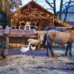 25.12.2016 Chęciny. Żywa szopka i jasełka w klasztorze franciszkanów. / Jarosław Kubalski / Radio Kielce