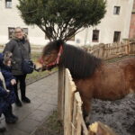 25.12.2016 Chęciny. Żywa szopka i jasełka w klasztorze franciszkanów. / Jarosław Kubalski / Radio Kielce