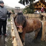 25.12.2016 Chęciny. Żywa szopka i jasełka w klasztorze franciszkanów. / Jarosław Kubalski / Radio Kielce