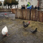 25.12.2016 Chęciny. Żywa szopka i jasełka w klasztorze franciszkanów. / Jarosław Kubalski / Radio Kielce