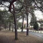 29.12.2016 Kielce. Ulica Obrzeżna. / Jarosław Kubalski / Radio Kielce