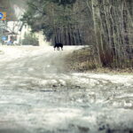 29.12.2016 Kielce. Ulica Obrzeżna. / Jarosław Kubalski / Radio Kielce