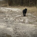 29.12.2016 Kielce. Ulica Obrzeżna. / Jarosław Kubalski / Radio Kielce