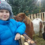 18.12.2016 Wigilia na jędrzejowskim rynku  / Ewa Pociejowska - Gawęda / Radio Kielce