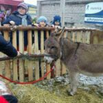 18.12.2016 Wigilia na jędrzejowskim rynku  / Ewa Pociejowska - Gawęda / Radio Kielce