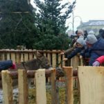 18.12.2016 Wigilia na jędrzejowskim rynku  / Ewa Pociejowska - Gawęda / Radio Kielce