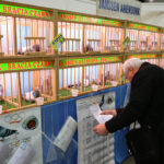 3.12.2016 Kielce. Okręgowa Wystawa Gołębi Pocztowych, Świętokrzyska Wystawa Gołębi Rasowych i Drobiu Ozdobnego, Świętokrzyska Wystawa Królików / Wojciech Habdas / Radio Kielce