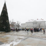6.12.2016 Kielce. Choinka na Rynku rozbłysnęła tysiącem światełek. / Wojciech Habdas / Radio Kielce