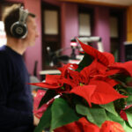 15.12.2016 Kielce. Finał czwartego dnia akcji "Choinka pod choinkę". Choinka z Ostrowca Świętokrzyskiego została sprzedana za 3500 zł. / Wojciech Habdas / Radio Kielce