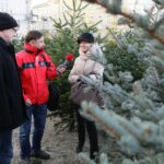 Choinki na Placu Wolności (17 grudnia 2016 r.) / Wojciech Habdas / Radio Kielce