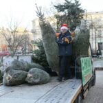 Choinki na Placu Wolności (17 grudnia 2016 r.) / Wojciech Habdas / Radio Kielce