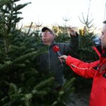 Choinki na Placu Wolności (17 grudnia 2016 r.) / Wojciech Habdas / Radio Kielce