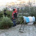 Choinki na Placu Wolności (17 grudnia 2016 r.) / Wojciech Habdas / Radio Kielce