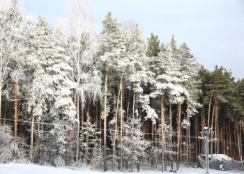 Rozpoczęto naśnieżanie kieleckich stoków narciarskich.Stadion. / Piotr Michalski / Radio Kielce