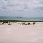 Muzyczne Podróże Przez Świat. Australia (21 stycznia 2017 r) / Maciej Tuz / Radio Kielce