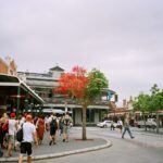 Muzyczne Podróże Przez Świat. Australia (21 stycznia 2017 r) / Maciej Tuz / Radio Kielce