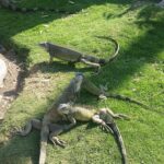 Ekwador / Jakub Raduszewski / Antoni Pawlak / Radio Kielce