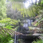 Muzyczne Podróże Przez Świat. Australia (21 stycznia 2017 r) / Maciej Tuz / Radio Kielce