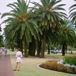 Muzyczne Podróże Przez Świat. Australia (21 stycznia 2017 r) / Maciej Tuz / Radio Kielce