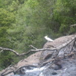 Muzyczne Podróże Przez Świat. Australia (21 stycznia 2017 r) / Maciej Tuz / Radio Kielce