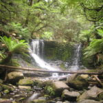 Muzyczne Podróże Przez Świat. Australia (21 stycznia 2017 r) / Maciej Tuz / Radio Kielce