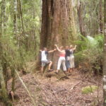 Muzyczne Podróże Przez Świat. Australia (21 stycznia 2017 r) / Maciej Tuz / Radio Kielce