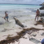 Muzyczne Podróże Przez Świat. Australia (21 stycznia 2017 r) / Maciej Tuz / Radio Kielce