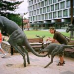 Muzyczne Podróże Przez Świat. Australia (21 stycznia 2017 r) / Maciej Tuz / Radio Kielce