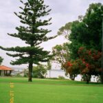 Muzyczne Podróże Przez Świat. Australia (21 stycznia 2017 r) / Maciej Tuz / Radio Kielce