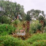 Muzyczne Podróże Przez Świat. Australia (21 stycznia 2017 r) / Maciej Tuz / Radio Kielce