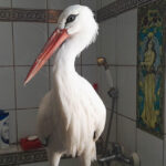 Kamil Włosowicz / Radio Kielce