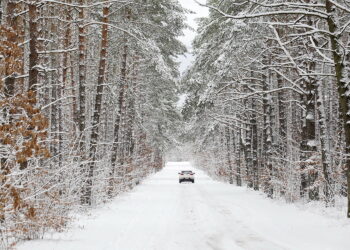 04.01.2017 Kielce. Zima w mieście. / Jarosław Kubalski / Radio Kielce