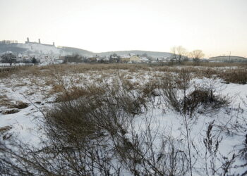 11.01.2017 Chęciny. Teren gdzie ma powstać park. / Jarosław Kubalski / Radio Kielce