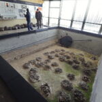 11.01.2017 Nowa Słupia. Muzeum Starożytnego Hutnictwa im. Mieczysława Radwana. / Jarosław Kubalski / Radio Kielce