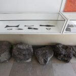 11.01.2017 Nowa Słupia. Muzeum Starożytnego Hutnictwa im. Mieczysława Radwana. / Jarosław Kubalski / Radio Kielce