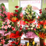 8.1.2017 Kielce. Mimo mrozu kwiaciarnie na Rynku mają się dobrze. / Wojciech Habdas / Radio Kielce