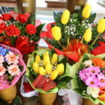 8.1.2017 Kielce. Mimo mrozu kwiaciarnie na Rynku mają się dobrze. / Wojciech Habdas / Radio Kielce