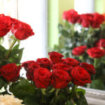 8.1.2017 Kielce. Mimo mrozu kwiaciarnie na Rynku mają się dobrze. / Wojciech Habdas / Radio Kielce