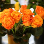 8.1.2017 Kielce. Mimo mrozu kwiaciarnie na Rynku mają się dobrze. / Wojciech Habdas / Radio Kielce