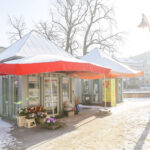 8.1.2017 Kielce. Mimo mrozu kwiaciarnie na Rynku mają się dobrze. / Wojciech Habdas / Radio Kielce