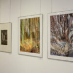 9.1.2017 Kielce. Wystawy doroczne – ZPAP ZPAR ZPAF PSEP Kapitał sztuki / suplement 2016 / Wojciech Habdas / Radio Kielce